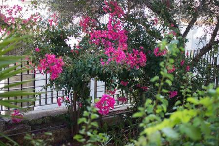 Glyfada Riviera Home Athens Luaran gambar