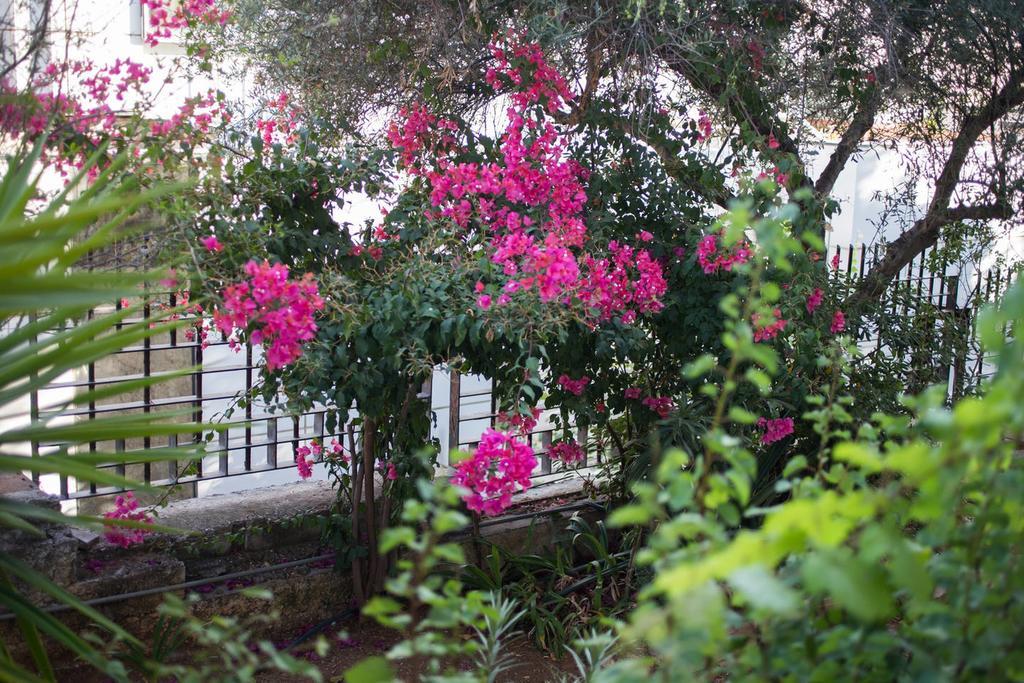 Glyfada Riviera Home Athens Luaran gambar